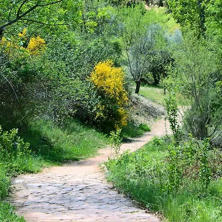 Сasa de vacaciones Casa Rural La Puentechica Bogarra